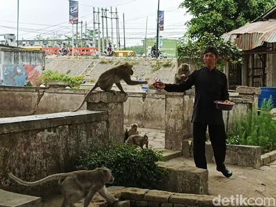 Penampakan Monyet yang Disebut Jelmaan Pesugihan di TPU Ngujang Tulungagung