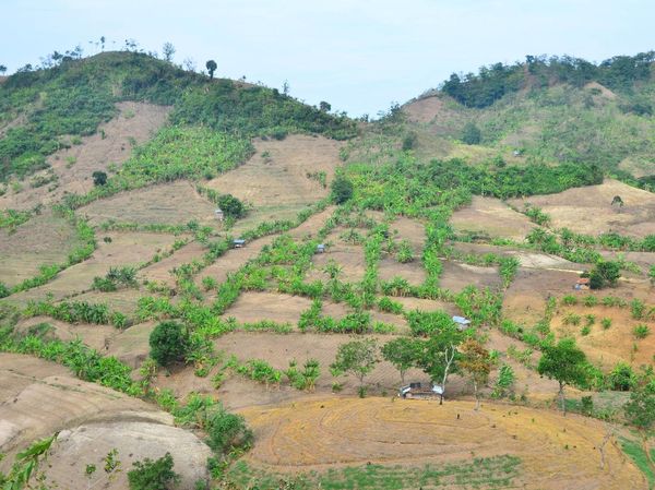 Tolong! Pegunungan Patiayam Kudus Butuh Penghijauan