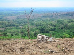 Apa Itu Erosi? Berikut Pengertian, Proses, Faktor, hingga Dampaknya