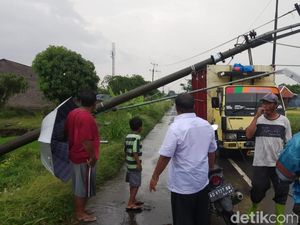 Hujan Lebat, Pohon dan 4 Tiang Listrik di Klaten Ambruk