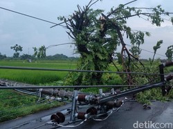 4 Tiang Listrik di Klaten Ambruk Usai Hujan Lebat, Ini Dampaknya