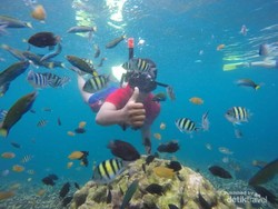 Raksasa di Bidang Maritim, Ini Harta Karun di Laut Indonesia