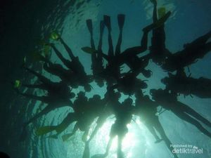 Pulau Pahawang, Surga Bawah Laut Andalan Provinsi Lampung Pulau Pahawang, Surga Bawah Laut Andalan Provinsi Lampung