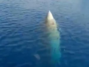 Viral Benda Mirip Roket Ditemukan Nelayan di Laut, Ini Kata TNI AU