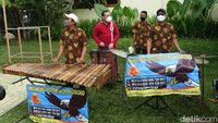Gaya Santai Ketua KPK Main Angklung di Yogya