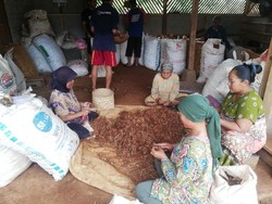 Perlu Tahu! Ternyata Desa di Sumedang Ini Penghasil Rempah