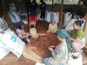 Perlu Tahu! Ternyata Desa di Sumedang Ini Penghasil Rempah Perlu Tahu! Ternyata Desa di Sumedang Ini Penghasil Rempah