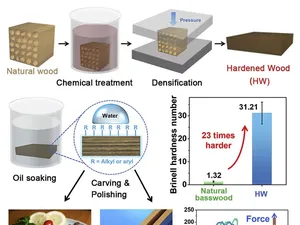 Wah, Kayu Bisa Dibikin Jadi Sekeras Baja