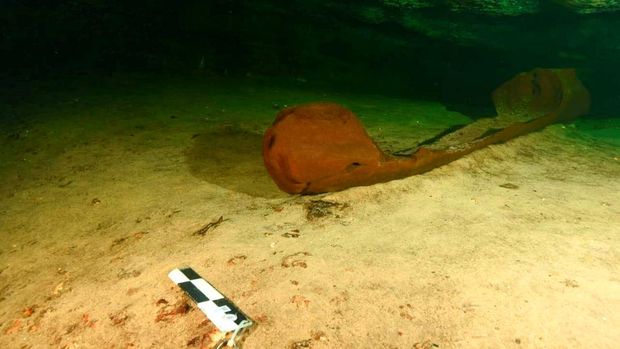 A wooden canoe used by the ancient Maya and believed to be over a thousand years old is pictured at a fresh-water pool known as a cenote and found during the archeological work accompanying the construction of a controversial new tourist train, in the state of Yucatan, in this handout released on October 29, 2021. Mexico's National Institute of Anthropology and History (INAH)/Handout via REUTERS ATTENTION EDITORS - THIS IMAGE HAS BEEN SUPPLIED BY A THIRD PARTY. NO RESALES. NO ARCHIVES