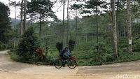 Mencoba Jalur Syahdu Kebun Teh Cianten Bogor