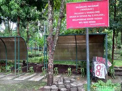 Sudah Tahu, Lur? Ada Plang Pacaran Dilarang dan Didenda Rp 2 Juta di Yogya