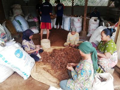 Menilik Rempah-rempah yang Jadi Ladang Uang di Desa Jingkang Sumedang