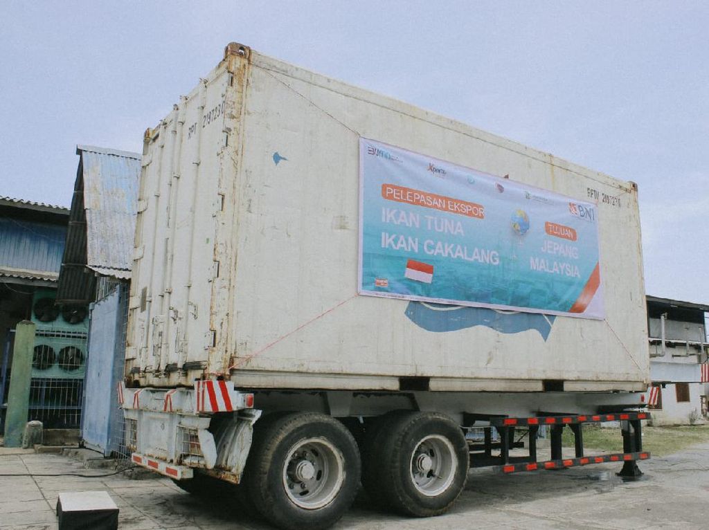 Nelayan Sikka Ekspor Perdana 15 Ton Ikan Tuna ke Malaysia dan Jepang