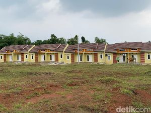 Investasi di Tenjo: Harga Tanah Rp 200.000 di 2010, Kini Rp 2 Juta Investasi di Tenjo: Harga Tanah Rp 200.000 di 2010, Kini Rp 2 Juta