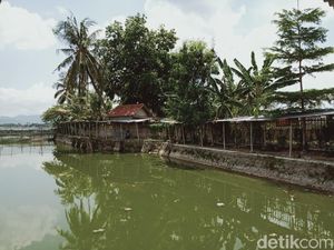 Ada Kompleks Makam di Tengah Rawa Jombor Klaten, Begini Kisahnya