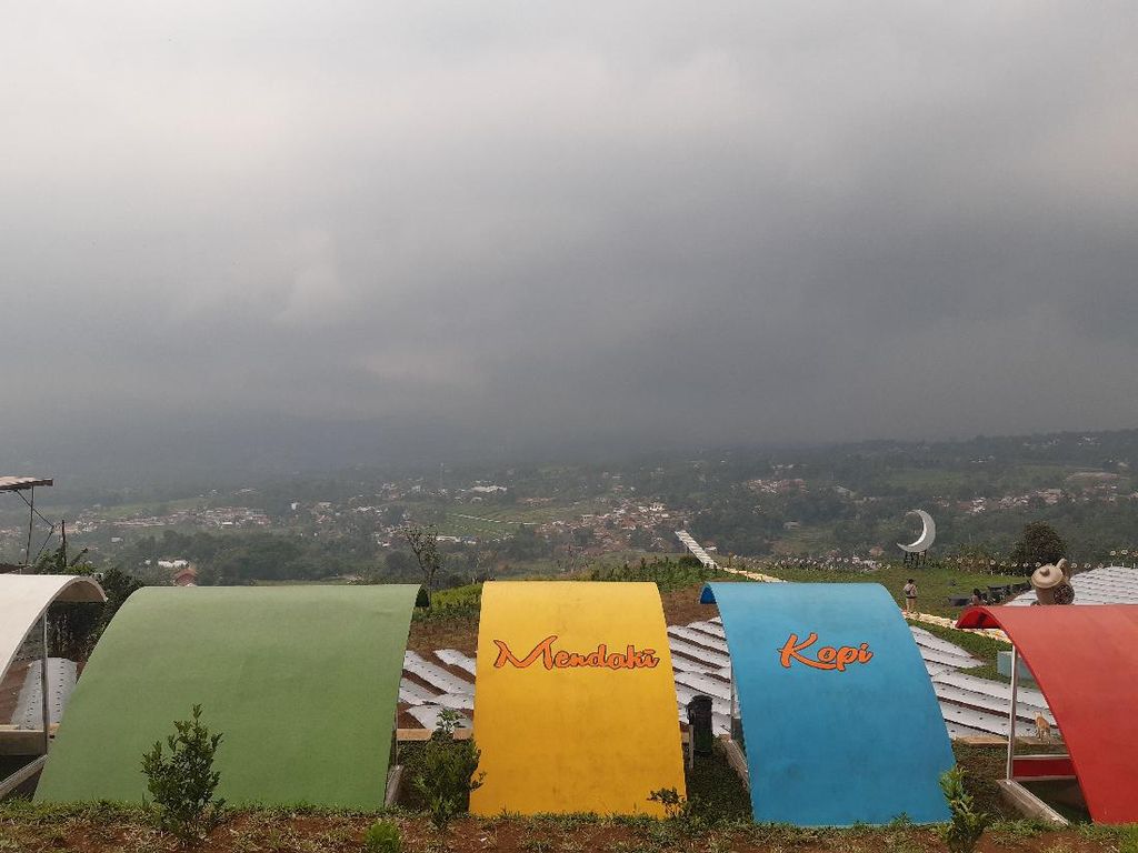 5 Tempat Nongkrong Asyik dan Instagramable di Bogor