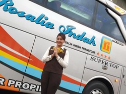 Mirip di Pesawat, PO Rosalia Indah Punya Layanan Pramugari, Ini Tugasnya
