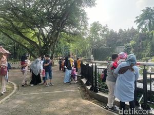 Ragunan Ramai Dikunjungi Warga di Akhir Pekan, Begini Suasananya Ragunan Ramai Dikunjungi Warga di Akhir Pekan, Begini Suasananya