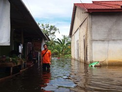 Sungai Kapuas Meluap, 1.000 Rumah Warga di Sanggau Terendam Banjir