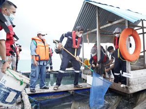 Ada Tempat Budidaya Ikan dan Udang di Kawasan Tambang, Gini Penampakannya