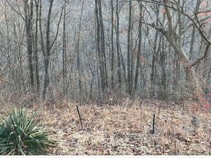 Yuk Uji Kejelian Mata Melihat Foto Kamuflase, Berani? Yuk Uji Kejelian Mata Melihat Foto Kamuflase, Berani?