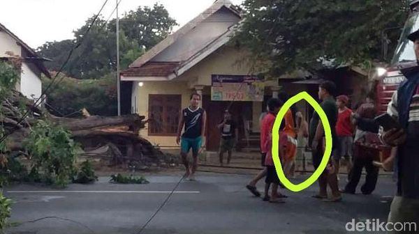 Hiii.. Ini Sosok Misterius yang Viral Saat Pohon Tumbang di Mojokerto