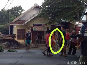 Hiii.. Ini Sosok Misterius yang Viral Saat Pohon Tumbang di Mojokerto