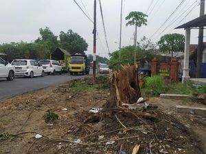 Kata Warga Soal Viral Penampakan Sosok Misterius Pohon Tumbang di Mojokerto