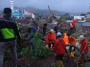Pohon Besar Timpa 4 Rumah Warga di Sumedang, 3 KK Terpaksa Diungsikan