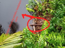 Penampakan Barang Bukti Ayah di Riau Dibunuh Gegara Tak Beri Restu Nikah