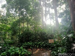 Panjang Umur Kenang-kenangan Soeharto dan Ibu Tien di Tahura Djuanda Bandung