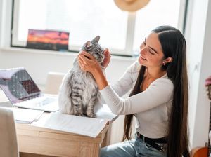 Mengapa Kucing Punya Tingkah seperti Bayi? Ini Penjelasan Ilmiahnya Mengapa Kucing Punya Tingkah seperti Bayi? Ini Penjelasan Ilmiahnya