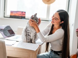 Mengapa Kucing Punya Tingkah seperti Bayi? Ini Penjelasan Ilmiahnya