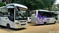 Akhirnya Bus Trans Pakuan Unjuk Gigi
