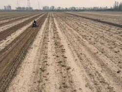 Cuaca Ekstrem Bikin Petani di China Dilanda Gagal Panen