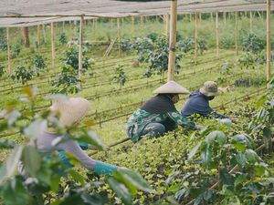 10 Contoh Soal PAS Ekonomi Kelas 11 dengan Jawaban dan Pembahasan