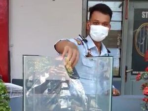 200 HP Hasil Razia di Rutan Gresik Dimusnahkan