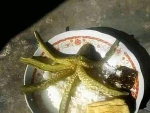 Bikin Ngakak! 7 Hal Tak Terduga Ini Ditemukan Netizen Saat Makan dan Masak