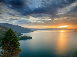 DPRD Desak Gubsu Gerak Cepat Atasi Ikan Iblis Merah di Danau Toba DPRD Desak Gubsu Gerak Cepat Atasi Ikan Iblis Merah di Danau Toba