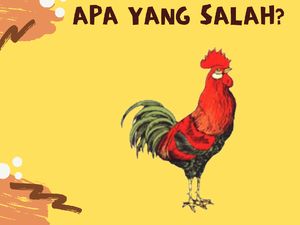 Tes IQ, Bisakah Kamu Menemukan Kesalahan di Gambar Ini?