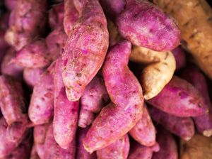 Bisa Gantikan Nasi, Dosen IPB Kembangkan Beras Analog dari Ubi Jalar Ungu