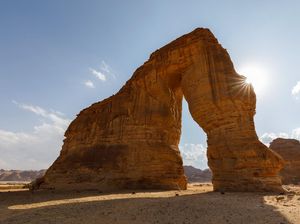 Ikan-Gajah Raksasa di Gurun Saudi yang Pernah Dijauhi Nabi Muhammad SAW