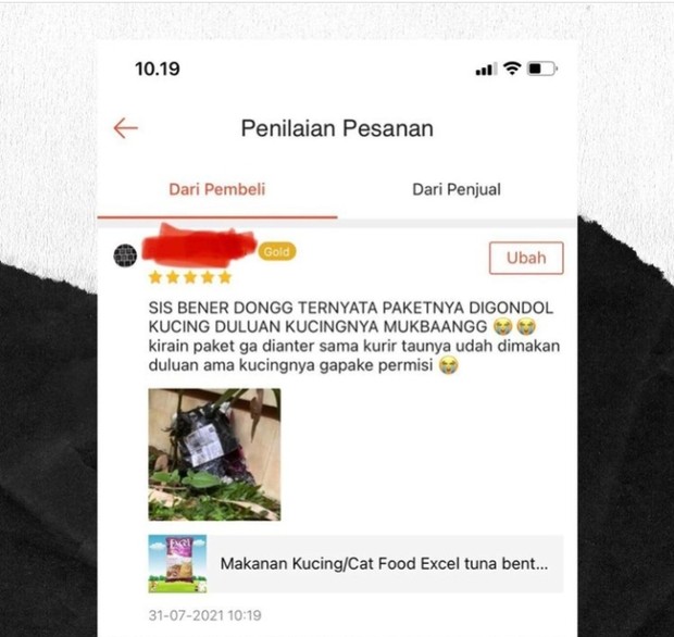 Diembat kucing/ Foto: instagram.com/newdramaolshop Diembat kucing