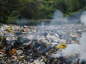 Tim Peneliti Ungkap Punahnya Jenis Ikan-ikan Sungai di Pulau Jawa