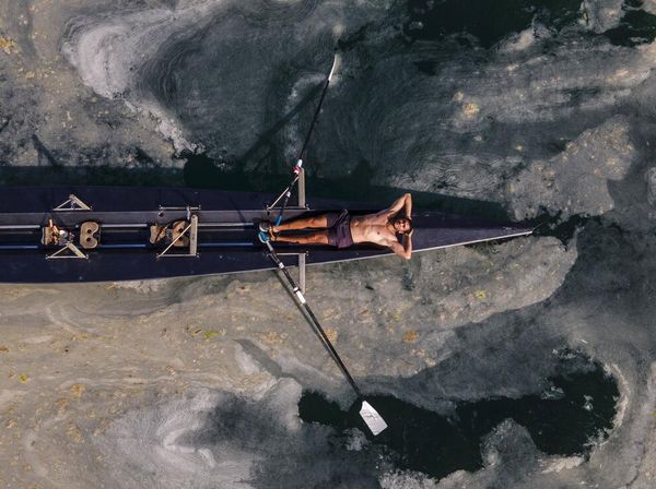Efek Domino Perubahan Iklim, dari Air Laut Naik Hingga Gagal Panen