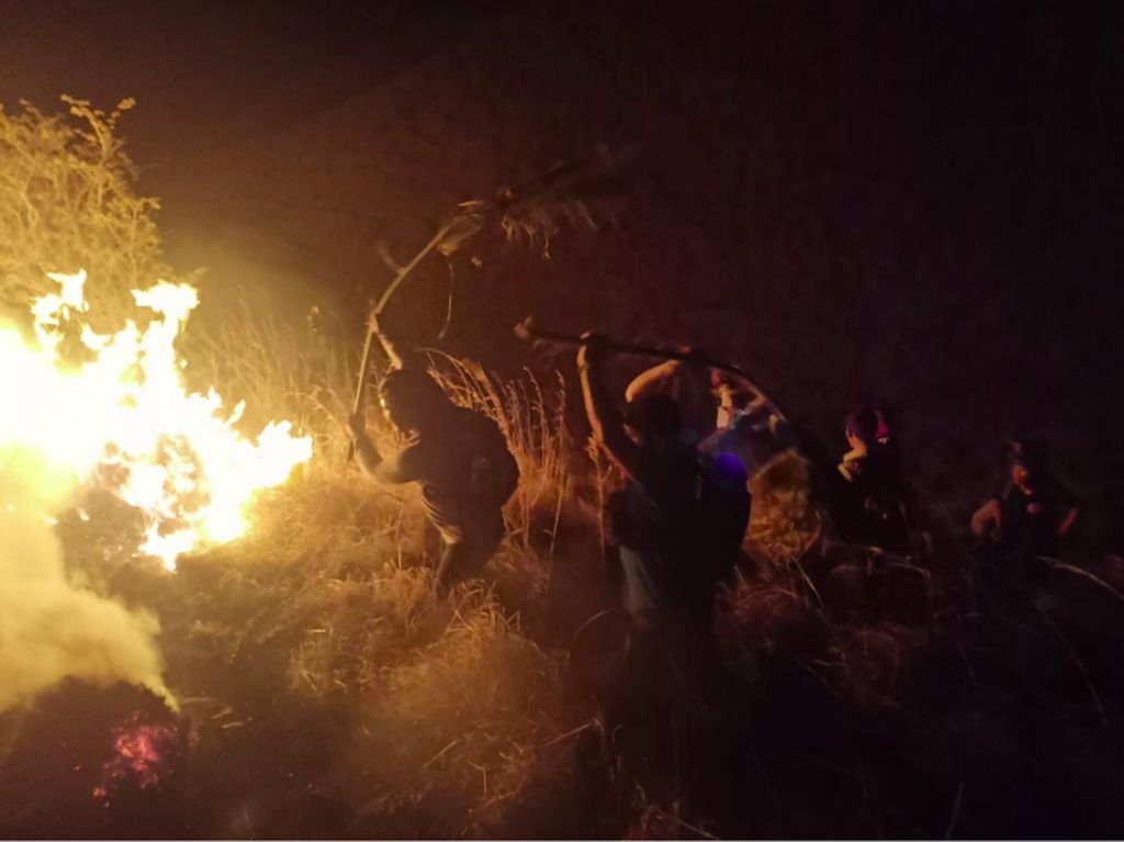 Kronologi Kebakaran Pulau Rinca, Belum Ada Tanda-tanda Disebabkan Manusia