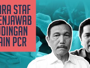 Para Staf Menjawab Tudingan Menteri Main PCR