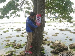 Pantai Karapyak Masih Ditutup, Penunjang Keselamatan Dibenahi