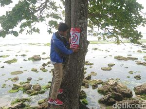 Pantai Karapyak Masih Ditutup, Penunjang Keselamatan Dibenahi Pantai Karapyak Masih Ditutup, Penunjang Keselamatan Dibenahi