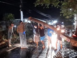 Pemotor Tewas Tabrak Pohon Tumbang di Tulungagung